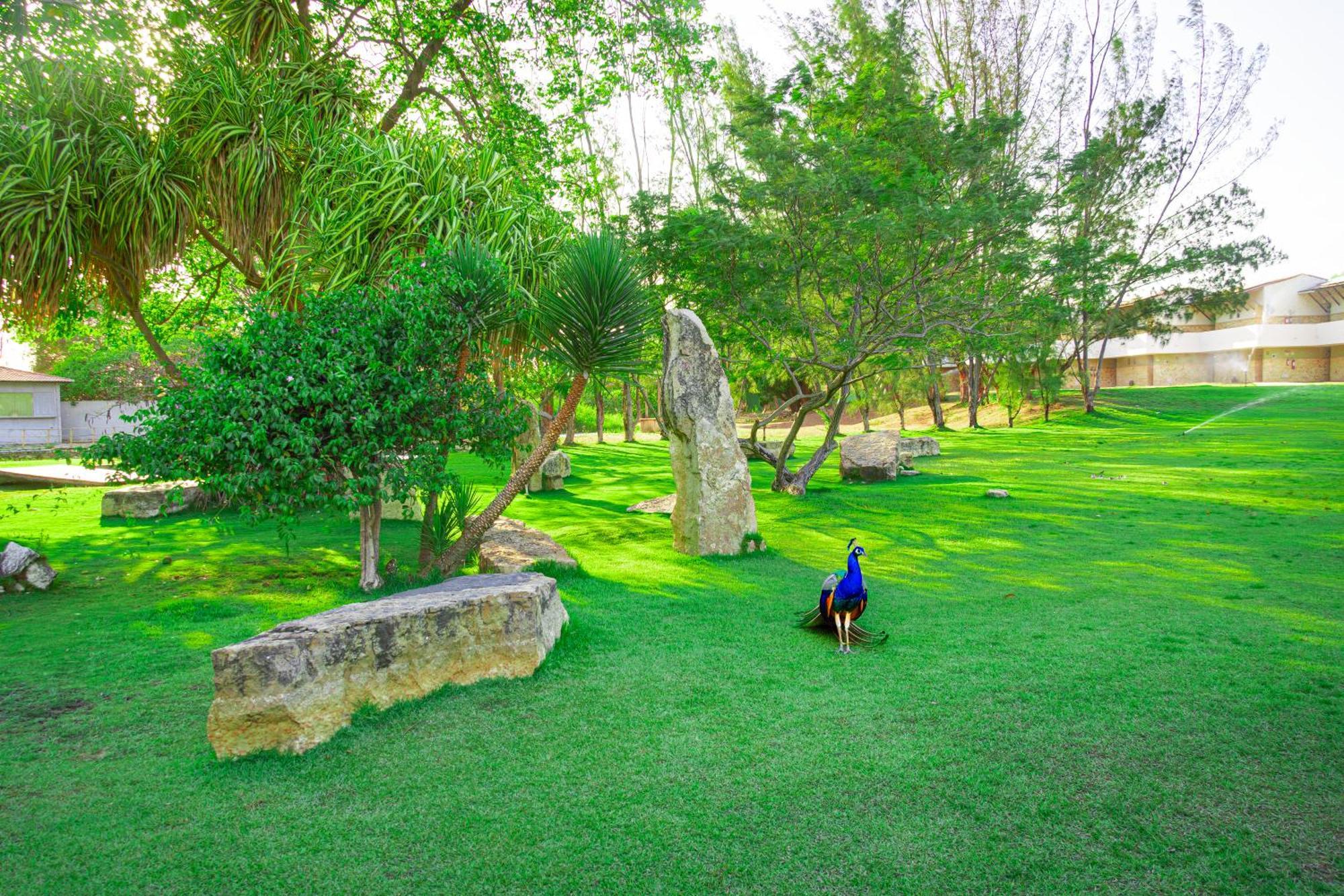 Thermas Hotel Mossoró Dış mekan fotoğraf